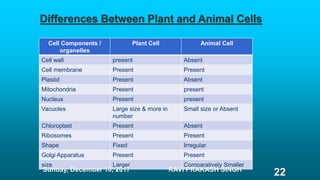 Cell Components /
organelles
Plant Cell Animal Cell
Cell wall present Absent
Cell membrane Present Present
Plastid Present Absent
Mitochondria Present present
Nucleus Present present
Vacuoles Large size & more in
number
Small size or Absent
Chloroplast Present Absent
Ribosomes Present Present
Shape Fixed Irregular
Golgi Apparatus Present Present
size Larger Comparatively Smaller
Differences Between Plant and Animal Cells
Sunday, December 10, 2017 RAVI PRAKASH SINGH
22
 
