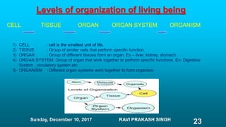 Levels of organization of living being
CELL TISSUE ORGAN ORGAN SYSTEM ORGANISM
1) CELL : cell is the smallest unit of life.
2) TISSUE : Group of similar cells that perform specific function.
3) ORGAN : Group of different tissues form an organ. Ex – liver, kidney, stomach
4) ORGAN SYSTEM: Group of organ that work together to perform specific functions. Ex- Digestive
System , circulatory system etc.
5) ORGANISM : Different organ systems work together to form organism.
Sunday, December 10, 2017 RAVI PRAKASH SINGH
23
 
