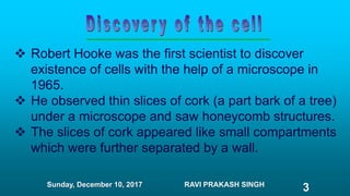  Robert Hooke was the first scientist to discover
existence of cells with the help of a microscope in
1965.
 He observed thin slices of cork (a part bark of a tree)
under a microscope and saw honeycomb structures.
 The slices of cork appeared like small compartments
which were further separated by a wall.
Sunday, December 10, 2017 RAVI PRAKASH SINGH
3
 