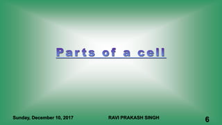 Sunday, December 10, 2017 RAVI PRAKASH SINGH
6
 