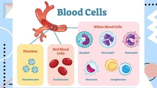 Cell Types Gen Bio Module gen bio CELL CLASSIFICATION AND TYPES.pptx