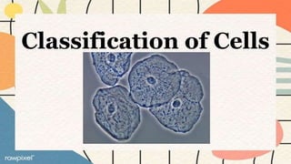 Classification of Cells
 