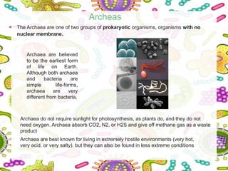 Types of cells cells types cells typesss | PPTX