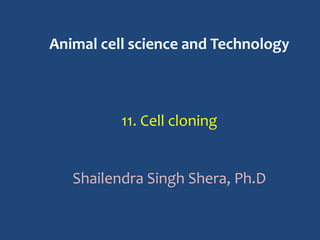 Animal cell science and Technology
11. Cell cloning
Shailendra Singh Shera, Ph.D
 