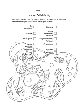 Biology - Animal Cell coloring | PDF