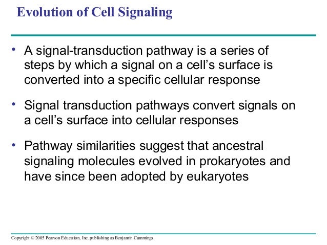 of mechanisms cellular 5 exchange Cell communication of mechanisms cellular 5 exchange Cell communication