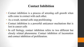 cellcommunication-201015070954.pdf