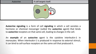Autocrine signaling is a form of cell signaling in which a cell secretes a
hormone or chemical messenger (called the autocrine agent) that binds
to autocrine receptors on that same cell, leading to changes in the cell.
An example of an autocrine agent is the cytokine interleukin-1 in
monocytes. When interleukin-1 is produced in response to external stimuli,
it can bind to cell-surface receptors on the same cell that produced it.
 