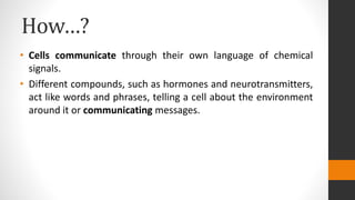 How…?
• Cells communicate through their own language of chemical
signals.
• Different compounds, such as hormones and neurotransmitters,
act like words and phrases, telling a cell about the environment
around it or communicating messages.
 