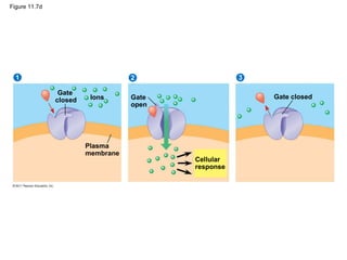 Mask Level Cell Gate Cell Communication4.ppt123457899987523412 | PPT