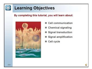 Cell communication and cell division