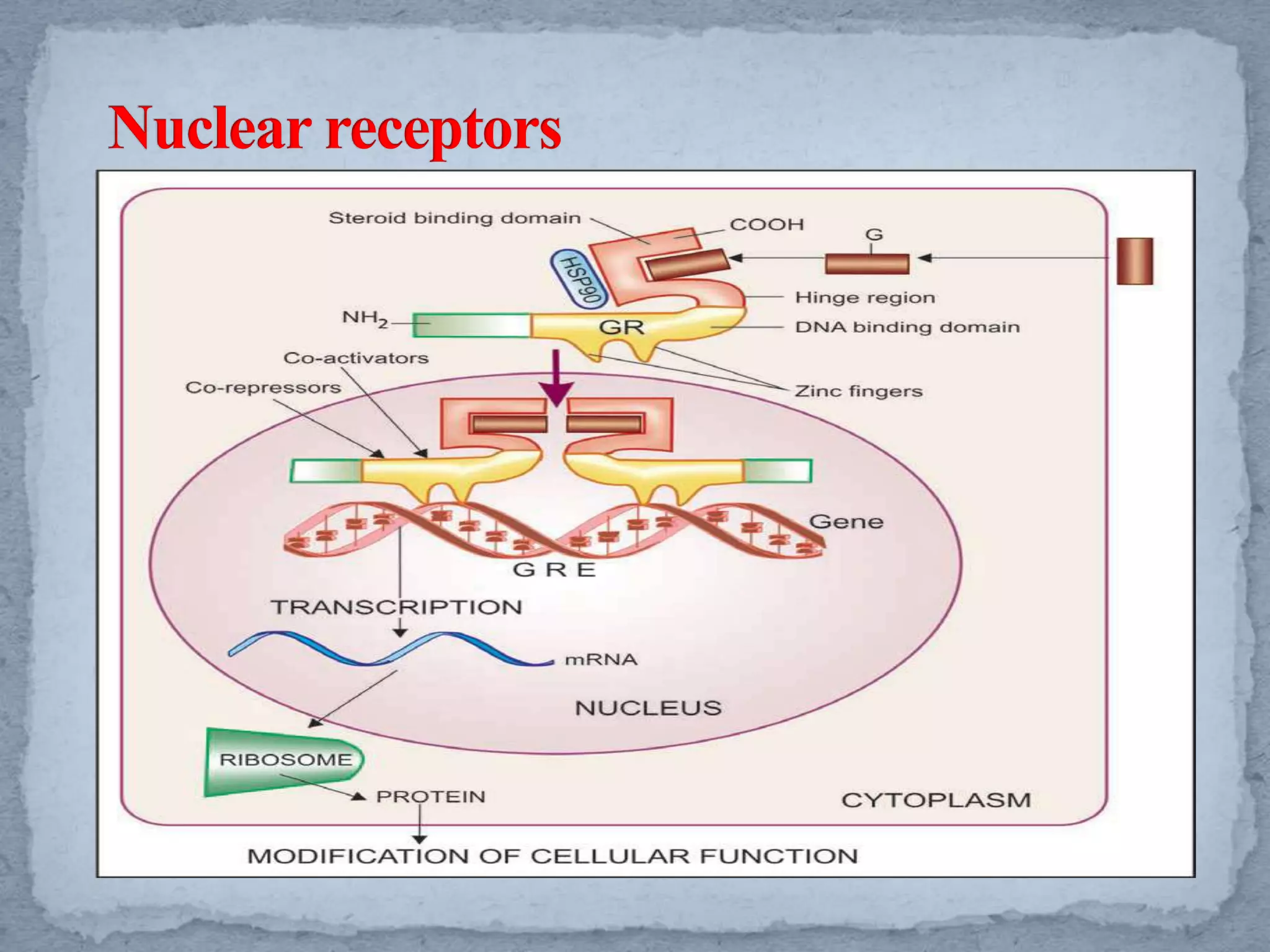 journal of cell communication and signaling