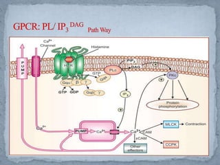 Cell communication and signaling ,cell cycle | PPTX