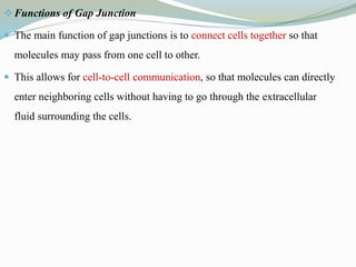 Functions of Gap Junction
 The main function of gap junctions is to connect cells together so that
molecules may pass from one cell to other.
 This allows for cell-to-cell communication, so that molecules can directly
enter neighboring cells without having to go through the extracellular
fluid surrounding the cells.
 