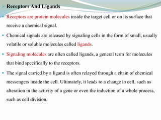  Receptors And Ligands
 Receptors are protein molecules inside the target cell or on its surface that
receive a chemical signal.
 Chemical signals are released by signaling cells in the form of small, usually
volatile or soluble molecules called ligands.
 Signaling molecules are often called ligands, a general term for molecules
that bind specifically to the receptors.
 The signal carried by a ligand is often relayed through a chain of chemical
messengers inside the cell. Ultimately, it leads to a change in cell, such as
alteration in the activity of a gene or even the induction of a whole process,
such as cell division.
 