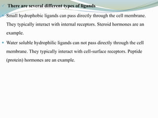  There are several different types of ligands
 Small hydrophobic ligands can pass directly through the cell membrane.
They typically interact with internal receptors. Steroid hormones are an
example.
 Water soluble hydrophilic ligands can not pass directly through the cell
membrane. They typically interact with cell-surface receptors. Peptide
(protein) hormones are an example.
 