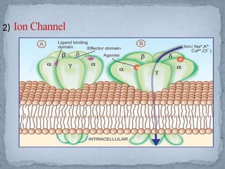 Cell communications in eukaryotes and vertebrates.pptx