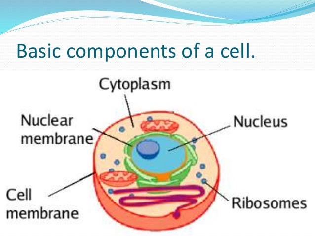 Cell components