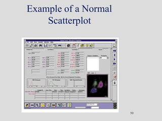 Example of a Normal
Scatterplot
50
 