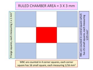 RULED CHAMBER AREA = 3 X 3 mm
9
large
squares,
each
measuring
1
x
1
mm
2
WBC are counted in 4 corner squares, each corner
square has 16 small square, each measuring 1/16 mm2
RBC
are
counted
in
central
square
which
has
25
small
squares,
each
measuring
1/25
mm
2