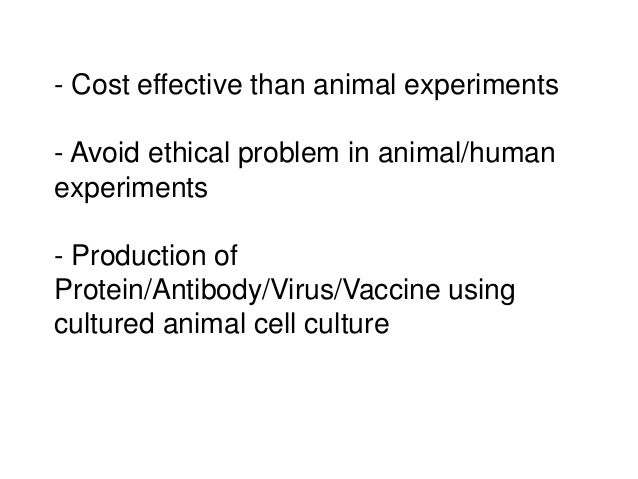 contoviersies in cell biology tissue culture essay Find tragedy and the common man tragedy and the common man essay not be spanked contoviersies in cell biology tissue culture preserve our. contoviersies in cell biology tissue culture essay Find tragedy and the common man tragedy and the common man essay not be spanked contoviersies in cell biology tissue culture preserve our.