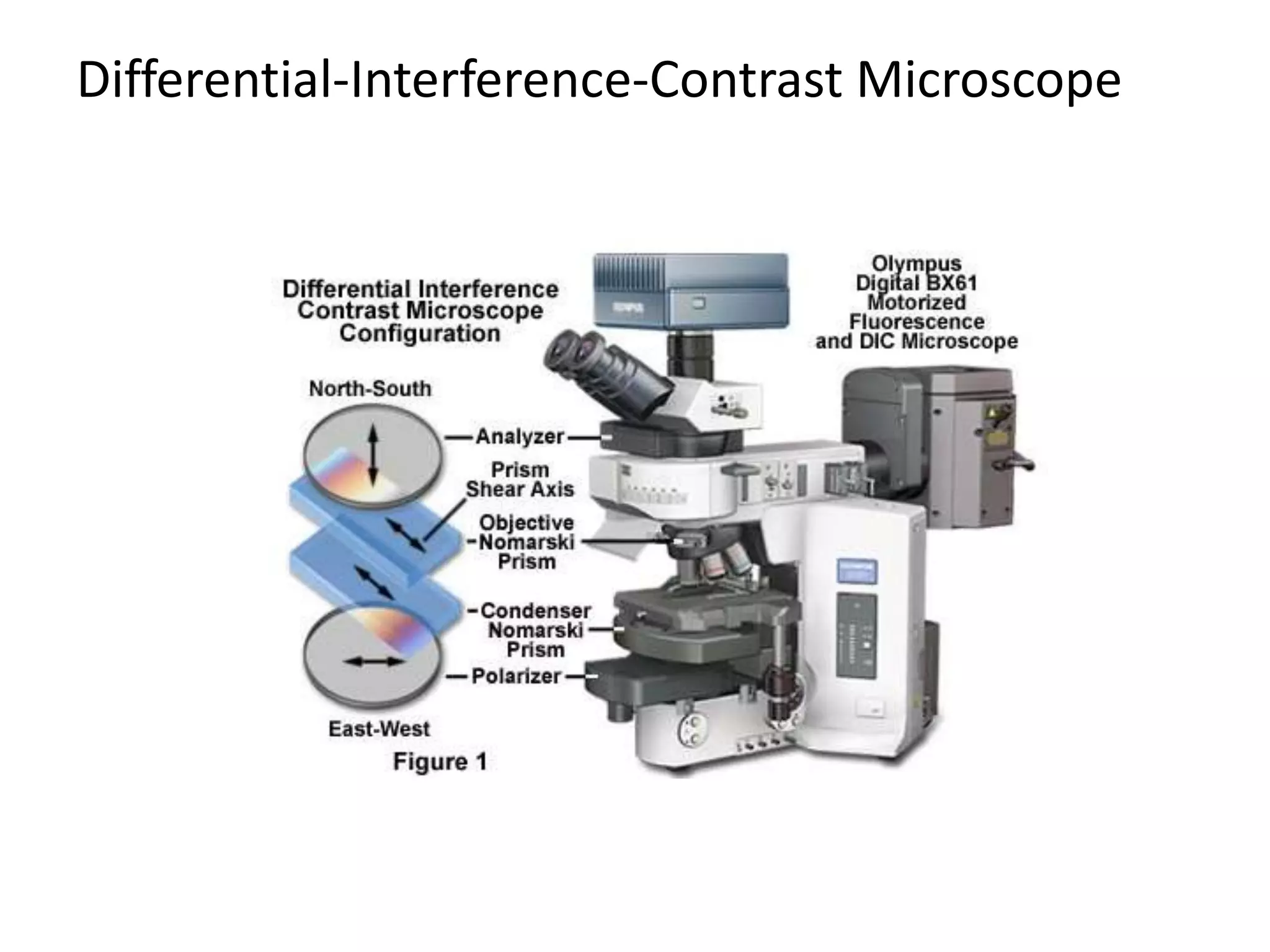 Differential-Interference-Contrast Microscope
 