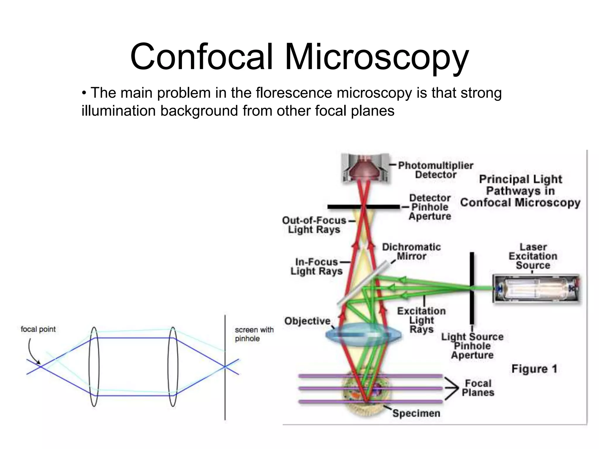 Confocal Microscopy
• The main problem in the florescence microscopy is that strong
illumination background from other focal planes
 