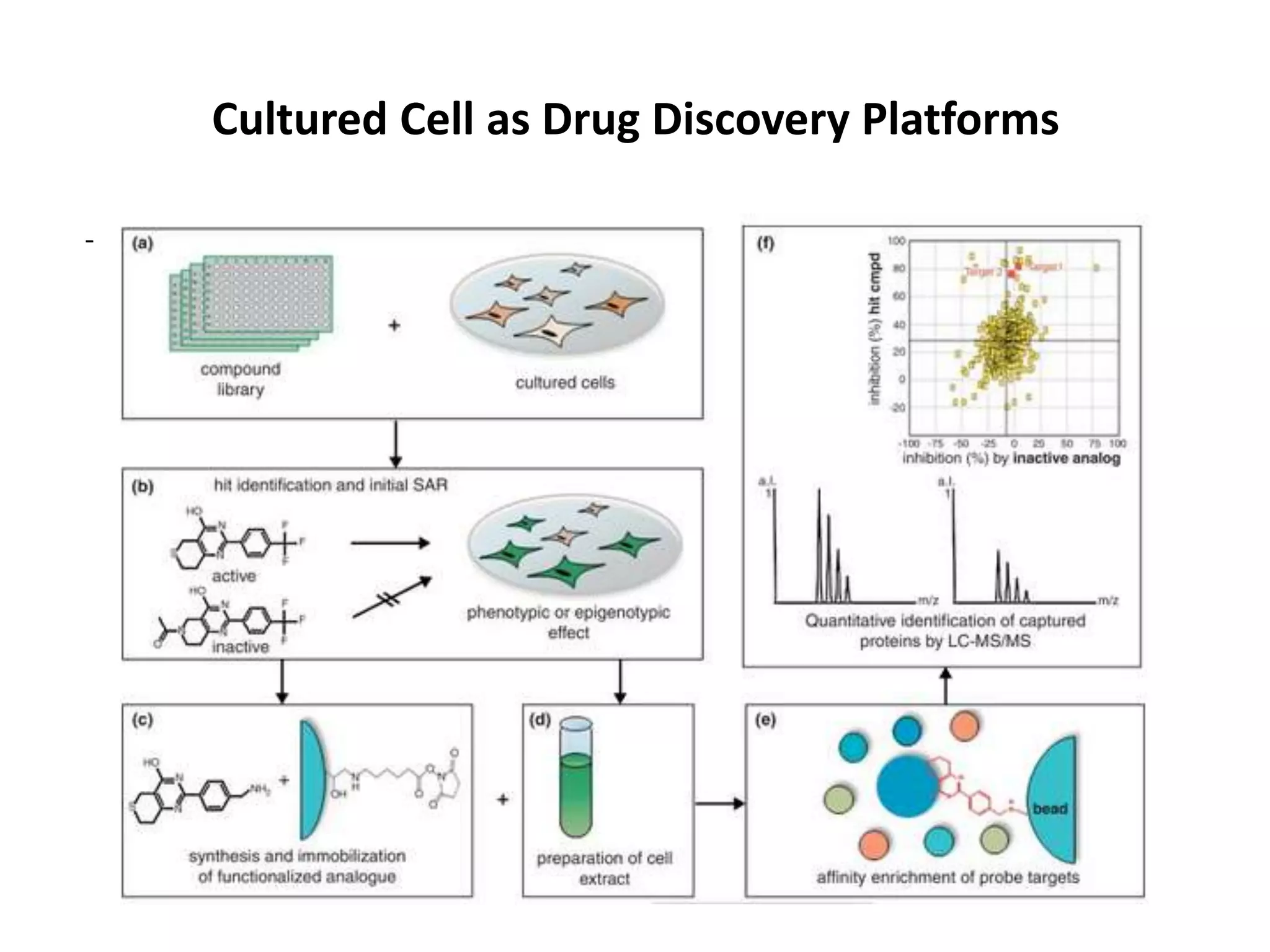 Cultured Cell as Drug Discovery Platforms
- Screening of chemical Library
 