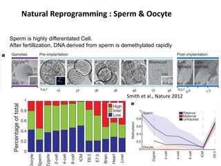Natural Reprogramming : Sperm & Oocyte
Sperm is highly differentated Cell.
After fertillization, DNA derived from sperm is demethylated rapidly

Smith et al., Nature 2012

 