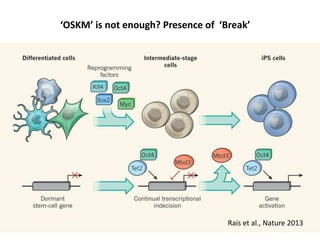 ‘OSKM’ is not enough? Presence of ‘Break’

Rais et al., Nature 2013

 