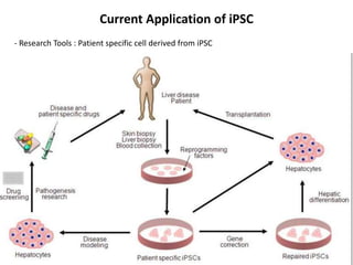 Current Application of iPSC
- Research Tools : Patient specific cell derived from iPSC

 