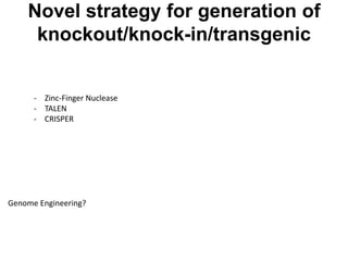 Novel strategy for generation of
knockout/knock-in/transgenic

- Zinc-Finger Nuclease
- TALEN
- CRISPER

Genome Engineering?

 
