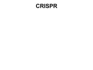 CRISPR

 