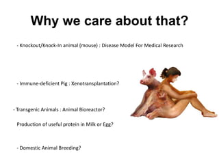 Why we care about that?
- Knockout/Knock-In animal (mouse) : Disease Model For Medical Research

- Immune-deficient Pig : Xenotransplantation?

- Transgenic Animals : Animal Bioreactor?
Production of useful protein in Milk or Egg?

- Domestic Animal Breeding?

 