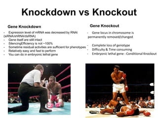 Knockdown vs Knockout
Gene Knockout

Gene Knockdown
- Expression level of mRNA was decreased by RNAi
(siRNA/shRNA/dsRNA)
- Gene itself are still intact
- SilencingEfficiency is not ~100%
- Sometime residual activities are sufficient for phenotypes
- Relatively easy and fast to perform
- You can do in embryonic lethal gene

- Gene locus in chromosome is
permanently removed/changed
-

Complete loss of genotype
Difficulty & Time consuming
Embryonic lethal gene : Conditional Knockout

 