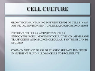 CELL CULTURE        GROWTH OF MAINTAINING DIFFRENT KINDS OF CELLS IN AN ARTIFICIAL ENVIRONMENT UNDER LABORATORCONDITIONS  ,[object Object],      COMMON METHOD GLASS OR PLASTIC SURFACE IMMERSED IN NUTRIENT FLUID  ALLOWS CELLS TO PROLIFERATE  