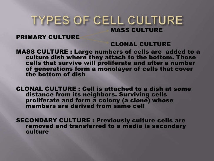 Cell culture