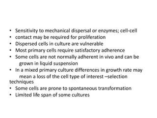 • Sensitivity to mechanical dispersal or enzymes; cell-cell
• contact may be required for proliferation
• Dispersed cells in culture are vulnerable
• Most primary cells require satisfactory adherence
• Some cells are not normally adherent in vivo and can be
grown in liquid suspension
• In a mixed primary culture differences in growth rate may
mean a loss of the cell type of interest –selection
techniques
• Some cells are prone to spontaneous transformation
• Limited life span of some cultures
 