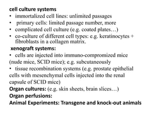 cell culture systems
• immortalized cell lines: unlimited passages
• primary cells: limited passage number, more
• complicated cell culture (e.g. coated plates…)
• co-culture of different cell types: e.g. keratinocytes +
fibroblasts in a collagen matrix.
xenograft systems:
• cells are injected into immuno-compromized mice
(nude mice, SCID mice); e.g. subcutaneously
• tissue recombination systems (e.g. prostate epithelial
cells with mesenchymal cells injected into the renal
capsule of SCID mice)
Organ cultures: (e.g. skin sheets, brain slices…)
Organ perfusions:
Animal Experiments: Transgene and knock-out animals
 