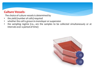 Culture Vessels-
The choice of culture vessels is determined by
• the yield (number of cells) required
• whether the cell is grown in monolayer or suspension
• the sampling regime (i.e., are the samples to be collected simultaneously or at
intervals over a period of time)
 
