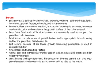 Serum
• Sera serve as a source for amino acids, proteins, vitamins , carbohydrates, lipids,
hormones, growth factors, minerals, and trace elements.
• Serum buffers the culture medium, inactivates proteolytic enzymes, increases
medium viscosity, and conditions the growth surface of the culture vessel.
• Sera from fetal and calf bovine sources are commonly used to support the
growth of cells in culture.
• Fetal serum is a rich source of growth factors and is appropriate for cell cloning
and for the growth of fastidious cells.
• Calf serum, because of its lower growth-promoting properties, is used in
contact-inhibition
• Attachment and Spreading Factor:
• Animal cells and extracellular matrix used in labs, like glass and plastic are both
negatively charged.
• Cross-linking with glycoproteins/ fibronectin or divalent cations Ca++ and Mg++
provide necessary electrostatic attraction for cells to bind to the matrix.
 