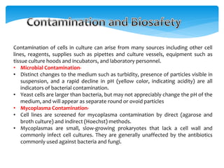 Contamination of cells in culture can arise from many sources including other cell
lines, reagents, supplies such as pipettes and culture vessels, equipment such as
tissue culture hoods and incubators, and laboratory personnel.
• Microbial Contamination-
• Distinct changes to the medium such as turbidity, presence of particles visible in
suspension, and a rapid decline in pH (yellow color, indicating acidity) are all
indicators of bacterial contamination.
• Yeast cells are larger than bacteria, but may not appreciably change the pH of the
medium, and will appear as separate round or ovoid particles
• Mycoplasma Contamination-
• Cell lines are screened for mycoplasma contamination by direct (agarose and
broth culture) and indirect (Hoechst) methods.
• Mycoplasmas are small, slow-growing prokaryotes that lack a cell wall and
commonly infect cell cultures. They are generally unaffected by the antibiotics
commonly used against bacteria and fungi.
 