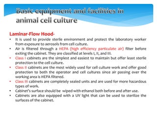 Laminar-Flow Hood-
• It is used to provide sterile environment and protect the laboratory worker
from exposure to aerosols from cell culture.
• Air is filtered through a HEPA (high efficiency particulate air) filter before
exiting the cabinet. They are classified at levels I, II, and III.
• Class I cabinets are the simplest and easiest to maintain but offer least sterile
protection to the cell culture.
• Class II cabinets are the most widely used for cell culture work and offer good
protection to both the operator and cell cultures since air passing over the
working area is HEPA filtered.
• Class III cabinets are completely sealed units and are used for more hazardous
types of work.
• Cabinet’s surface should be wiped with ethanol both before and after use.
• Cabinets are also equipped with a UV light that can be used to sterilize the
surfaces of the cabinet.
 