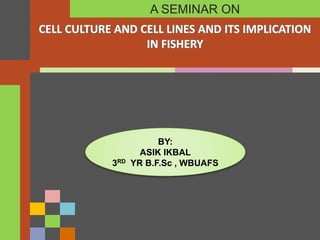 CELL CULTURE AND CELL LINES AND ITS IMPLICATION
IN FISHERY
A SEMINAR ON
BY:
ASIK IKBAL
3RD YR B.F.Sc , WBUAFS
 
