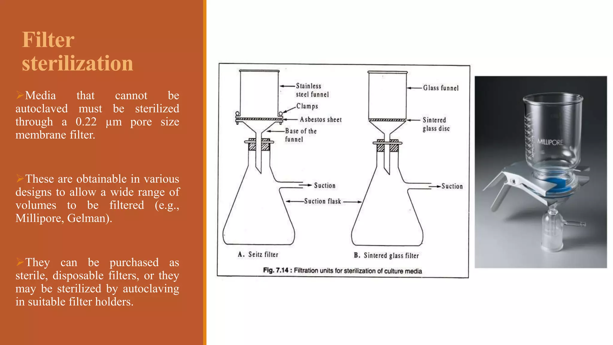 Cell culture technique | PPTX