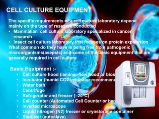 Essential Laboratory Equipment for Cell Culture Research