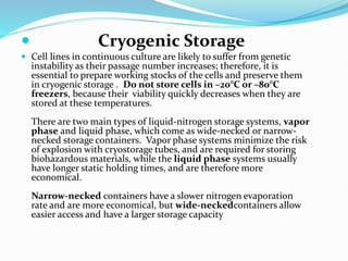  Cryogenic Storage
 Cell lines in continuous culture are likely to suffer from genetic
instability as their passage number increases; therefore, it is
essential to prepare working stocks of the cells and preserve them
in cryogenic storage . Do not store cells in –20°C or –80°C
freezers, because their viability quickly decreases when they are
stored at these temperatures.
There are two main types of liquid-nitrogen storage systems, vapor
phase and liquid phase, which come as wide-necked or narrow-
necked storage containers. Vapor phase systems minimize the risk
of explosion with cryostorage tubes, and are required for storing
biohazardous materials, while the liquid phase systems usually
have longer static holding times, and are therefore more
economical.
Narrow-necked containers have a slower nitrogen evaporation
rate and are more economical, but wide-neckedcontainers allow
easier access and have a larger storage capacity
 