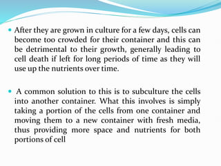 After they are grown in culture for a few days, cells can
become too crowded for their container and this can
be detrimental to their growth, generally leading to
cell death if left for long periods of time as they will
use up the nutrients over time.
 A common solution to this is to subculture the cells
into another container. What this involves is simply
taking a portion of the cells from one container and
moving them to a new container with fresh media,
thus providing more space and nutrients for both
portions of cell
 