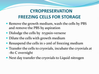 CYROPRESERVATION
FREEZING CELLS FOR STORAGE
 Remove the growth medium, wash the cells by PBS
and remove the PBS by aspiration
 Dislodge the cells by trypsin-versene
 Dilute the cells with growth medium
 Resuspend the cells in 1-2ml of freezing medium
 Transfer the cells to cryovials, incubate the cryovials at
-80 C overnight
 Next day transfer the cryovials to Liquid nitrogen
 