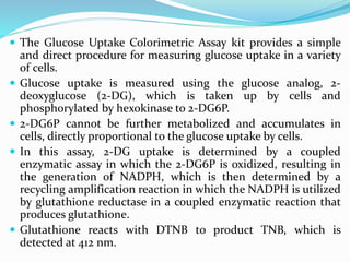  The Glucose Uptake Colorimetric Assay kit provides a simple
and direct procedure for measuring glucose uptake in a variety
of cells.
 Glucose uptake is measured using the glucose analog, 2-
deoxyglucose (2-DG), which is taken up by cells and
phosphorylated by hexokinase to 2-DG6P.
 2-DG6P cannot be further metabolized and accumulates in
cells, directly proportional to the glucose uptake by cells.
 In this assay, 2-DG uptake is determined by a coupled
enzymatic assay in which the 2-DG6P is oxidized, resulting in
the generation of NADPH, which is then determined by a
recycling amplification reaction in which the NADPH is utilized
by glutathione reductase in a coupled enzymatic reaction that
produces glutathione.
 Glutathione reacts with DTNB to product TNB, which is
detected at 412 nm.
 